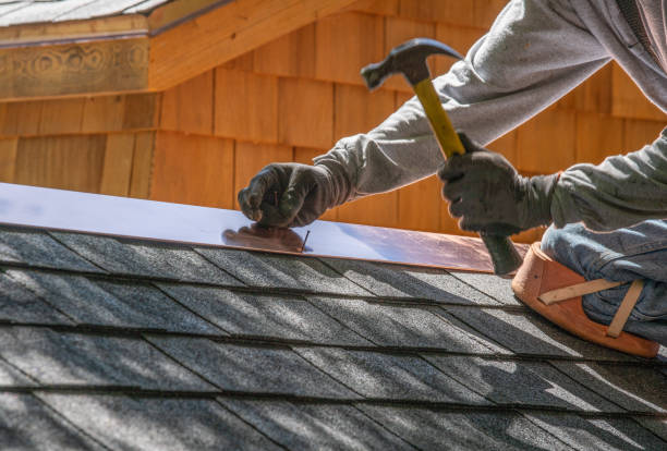 Best Roof Maintenance and Cleaning  in Neosho, MO